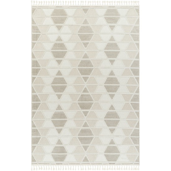 Surya Finland Fnd-2301 Rug 27" X 45"