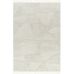 Surya Finland Fnd-2302 Rug 27" X 45"