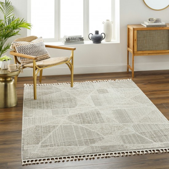 Surya Finland Fnd-2302 Rug 27" X 45"