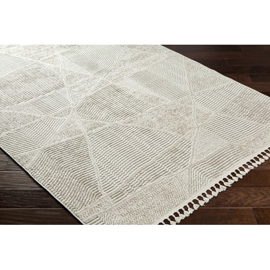 Surya Finland Fnd-2302 Rug 27" X 45"
