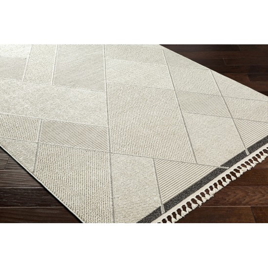 Surya Finland Fnd-2303 Rug 27" X 45"