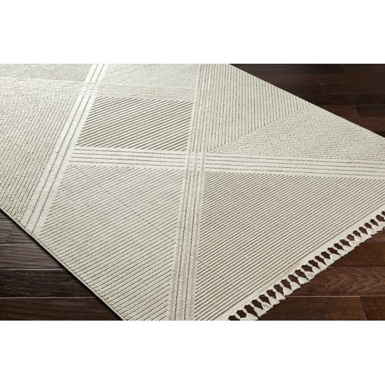 Surya Finland Fnd-2304 Rug 2'7" X 7'3"