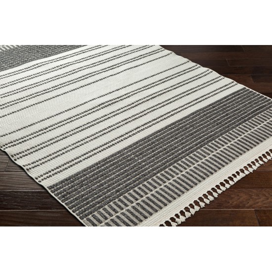 Surya Finland Fnd-2305 Rug 27" X 45"