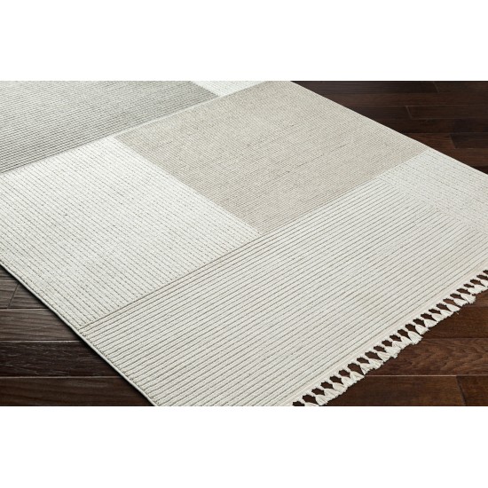 Surya Finland Fnd-2307 Rug 27" X 45"