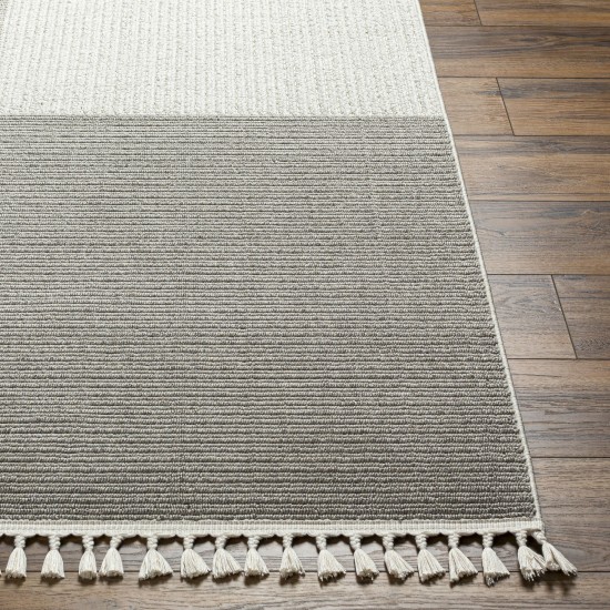 Surya Finland Fnd-2307 Rug 27" X 45"