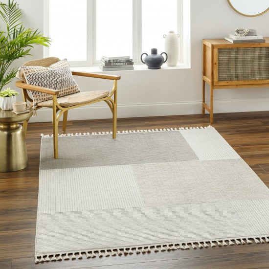 Surya Finland Fnd-2307 Rug 2'7" X 7'3"