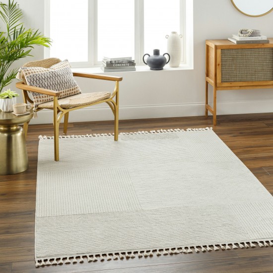 Surya Finland Fnd-2308 Rug 27" X 45"