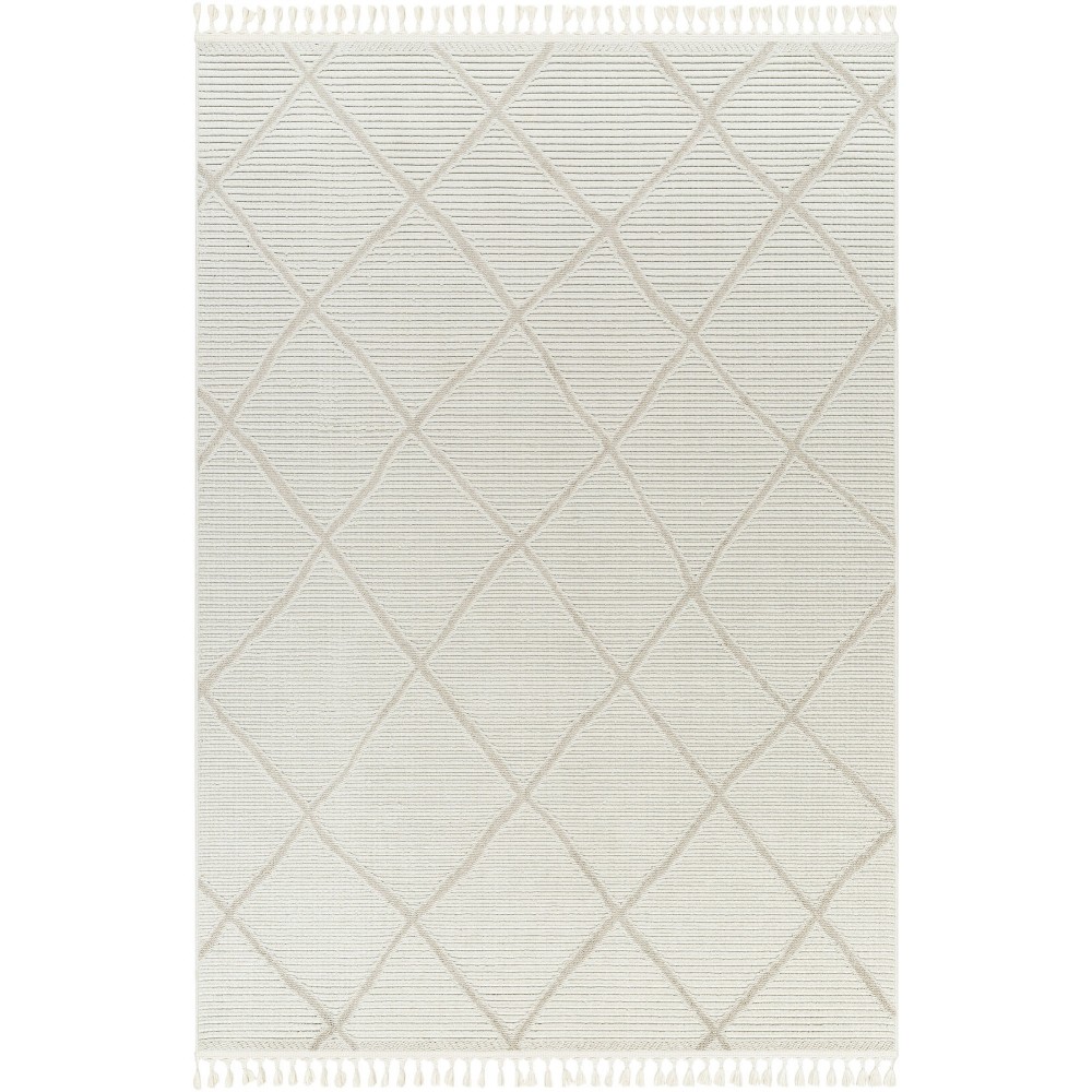 Surya Finland Fnd-2309 Rug 27" X 45"