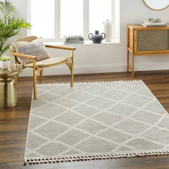 Surya Finland Fnd-2309 Rug 27" X 45"