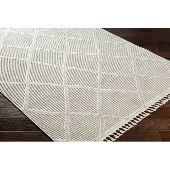 Surya Finland Fnd-2309 Rug 27" X 45"