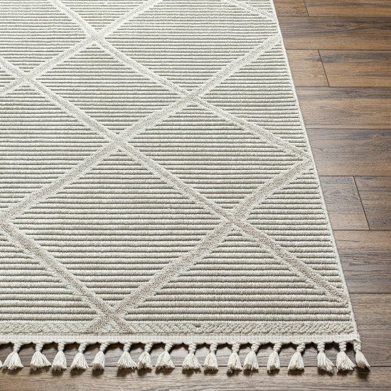 Surya Finland Fnd-2309 Rug 5'3" X 7'