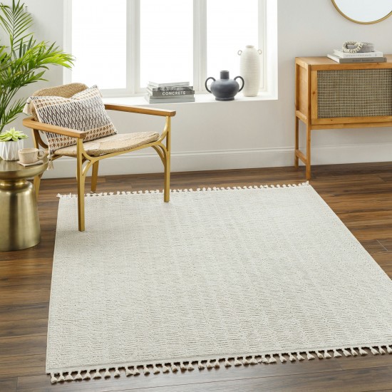 Surya Finland Fnd-2310 Rug 2'7" X 7'3"