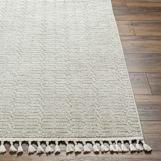 Surya Finland Fnd-2310 Rug 2'7" X 7'3"