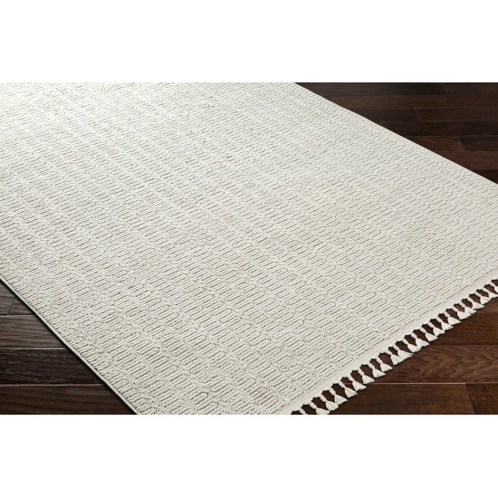 Surya Finland Fnd-2310 Rug 6'7" X 9'