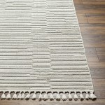 Surya Finland Fnd-2311 Rug 27" X 45"