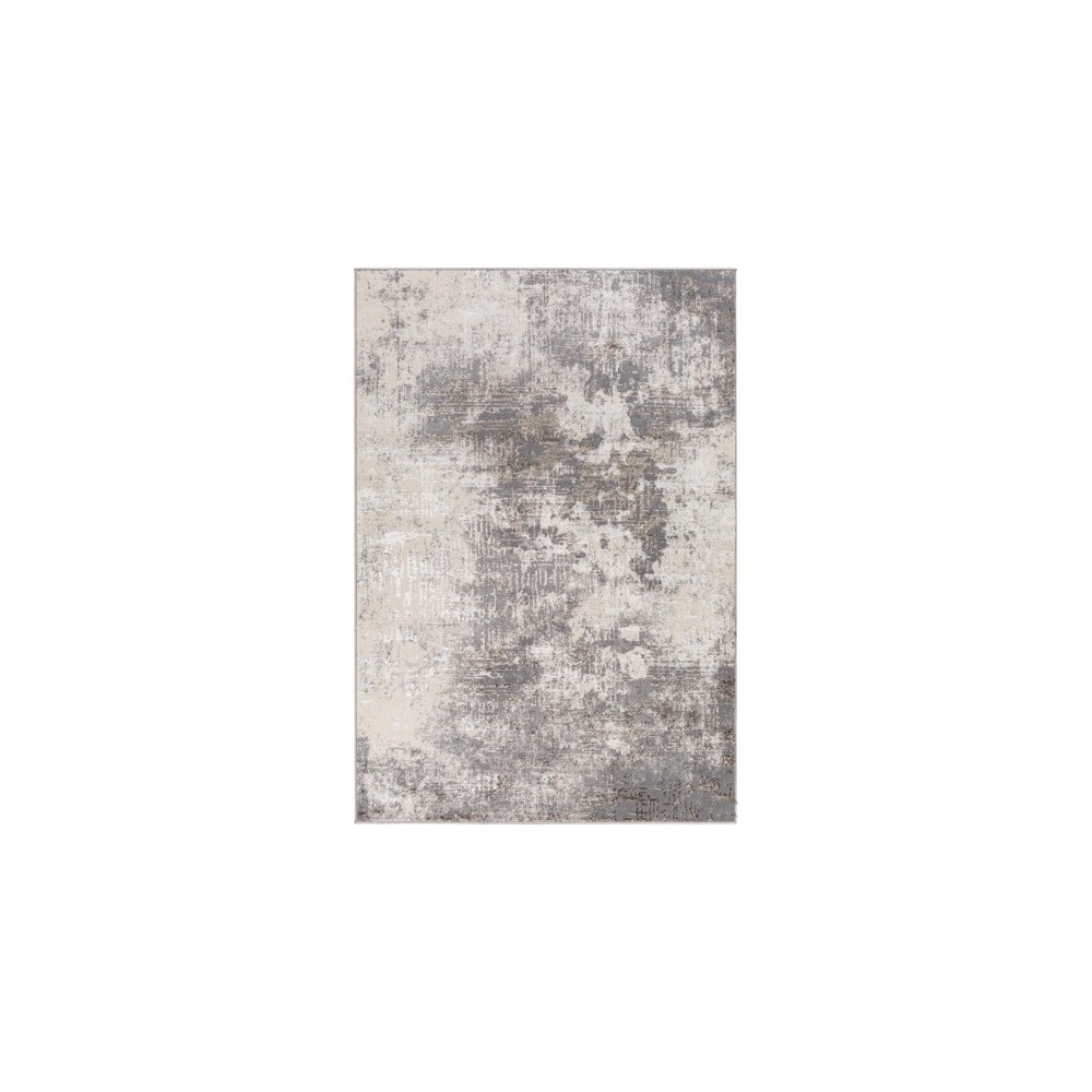 Surya Firenze Rug 31" X 46" - Charcoal