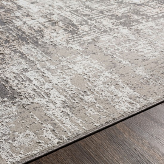 Surya Firenze Rug 3'3" X 4'5" - Charcoal