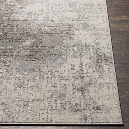 Surya Firenze Rug 6'6" X 9'2" - Charcoal
