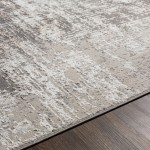 Surya Firenze Rug 6'6" X 9'2" - Charcoal