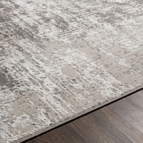 Surya Firenze Rug 6'6" X 9'2" - Charcoal