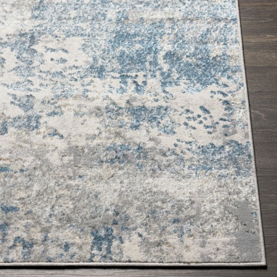 Surya Firenze Rug 31" X 46" - Teal