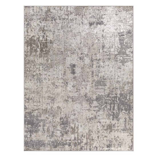 Surya Firenze Rug 31" X 46" (Charcoal)