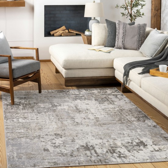 Surya Firenze Rug 31" X 46" (Charcoal)