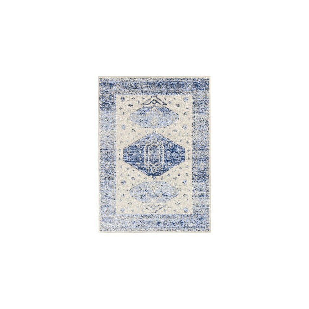 Surya Harput Hap-1109 Navy Rug 6'7" X 9'