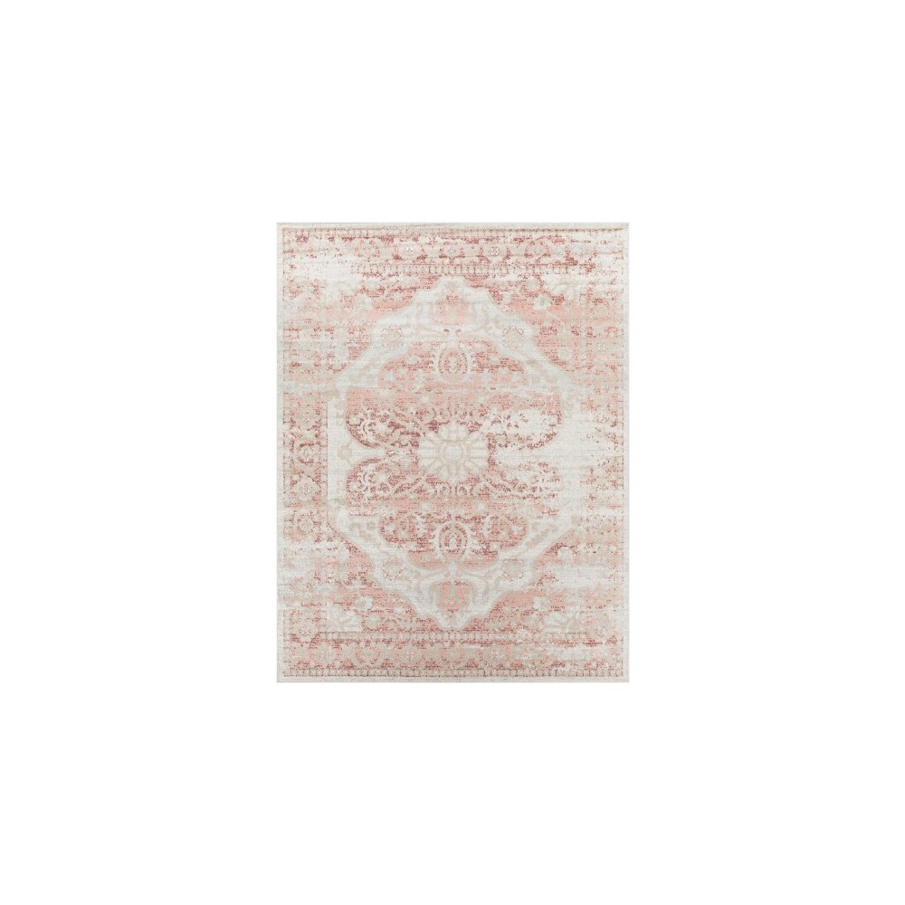 Surya Harput Hap-1110 Brick Red Rug 7'10" X 10'3" Surya Harput Hap-1110 Brick Red Rug 7'10" X 10'3"