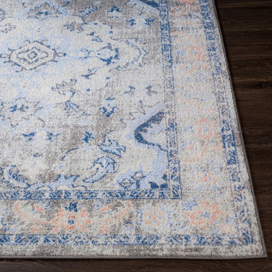 Surya Harput Hap-1111 Pale Blue Rug 7'10" X 10'3"