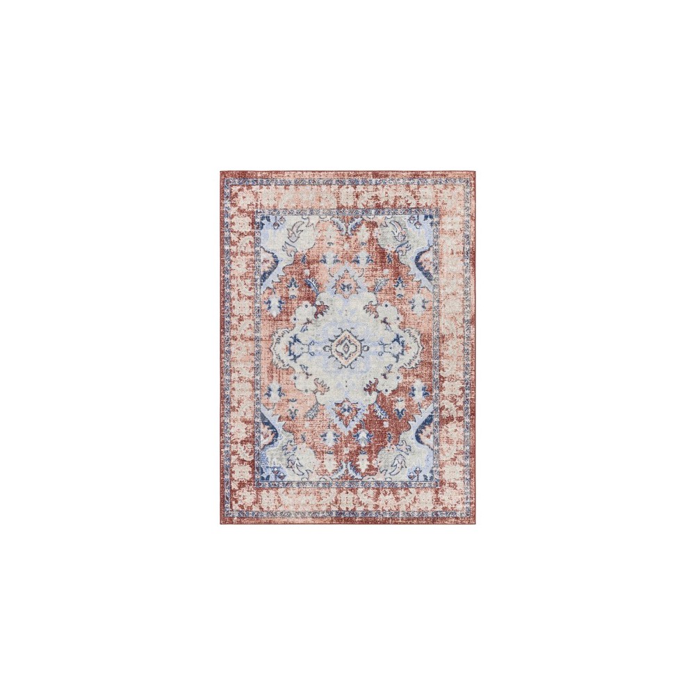 Surya Harput Hap-1113 Brick Red Rug 6'7" X 9' Surya Harput Hap-1113 Brick Red Rug 6'7" X 9'