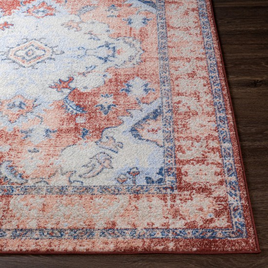 Surya Harput Hap-1113 Brick Red Rug 6'7" X 9'