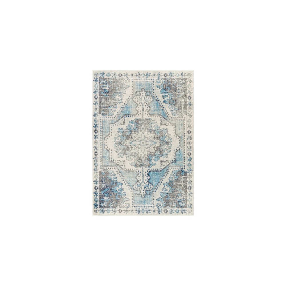 Surya Harput Hap-1130 Charcoal Rug 5'3" X 7'3" Surya Harput Hap-1130 Charcoal Rug 5'3" X 7'3"