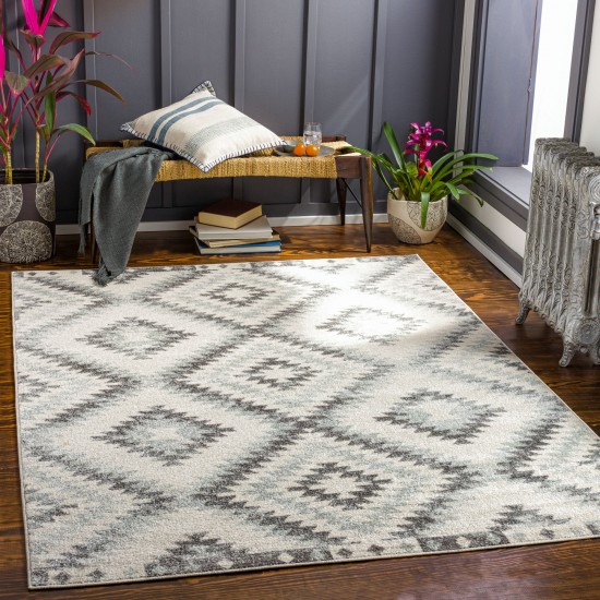 Surya Harput Hap-1139 Gray Rug 5'3" X 7'3"