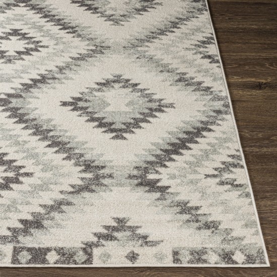 Surya Harput Hap-1139 Gray Rug 7'10" X 10'3"