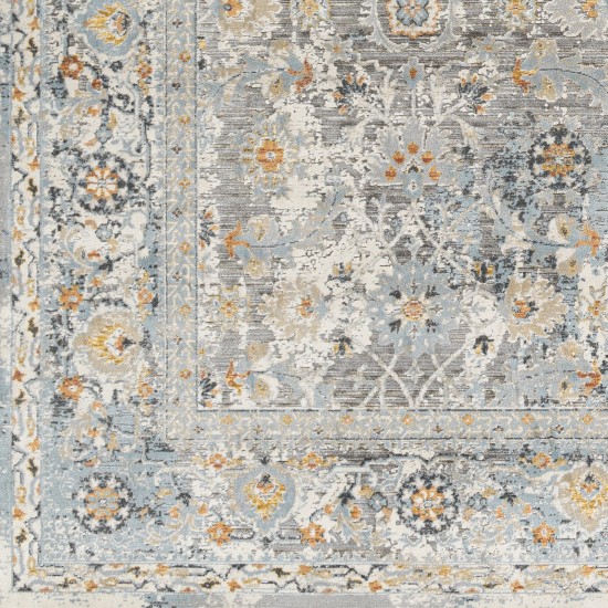 Surya Hassler Hsl-2300 Rug 10' X 14'