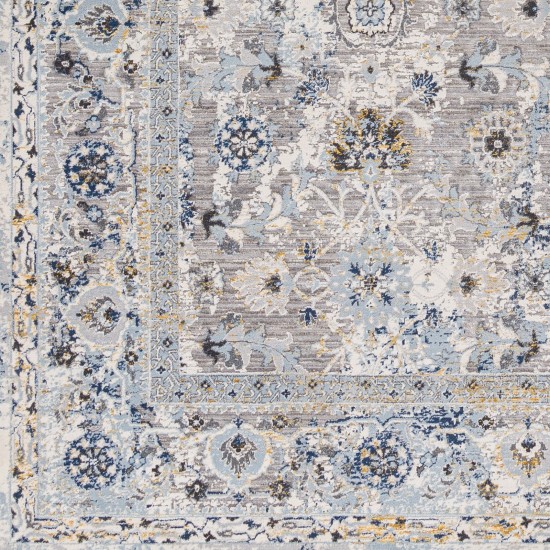 Surya Hassler Hsl-2302 Rug 10' X 14'