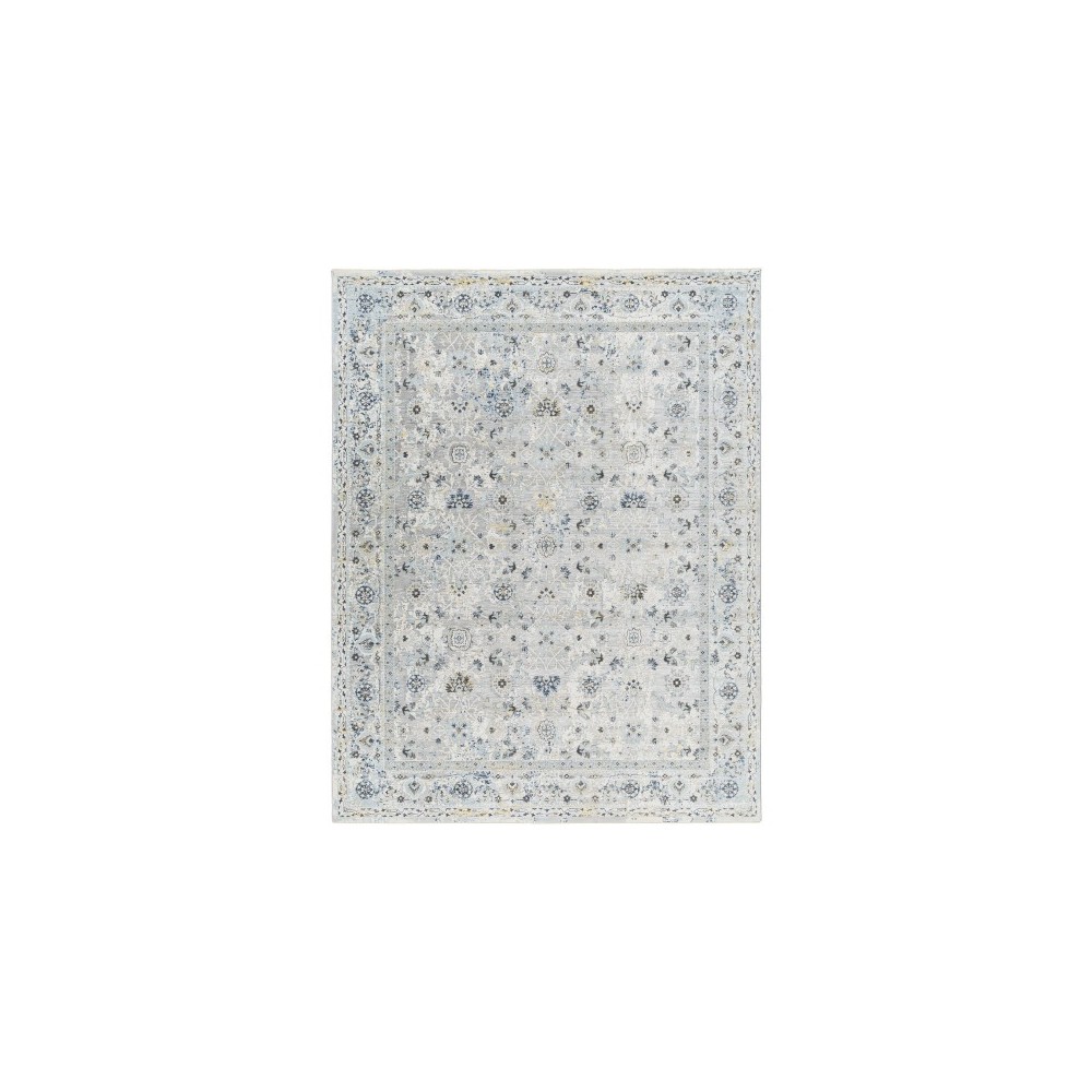 Surya Hassler Hsl-2302 Rug 2' X 3'