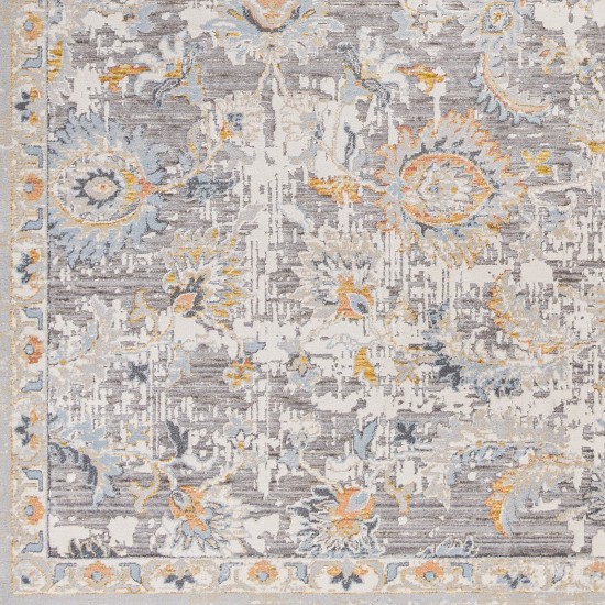 Surya Hassler Hsl-2303 Rug 10' X 14'