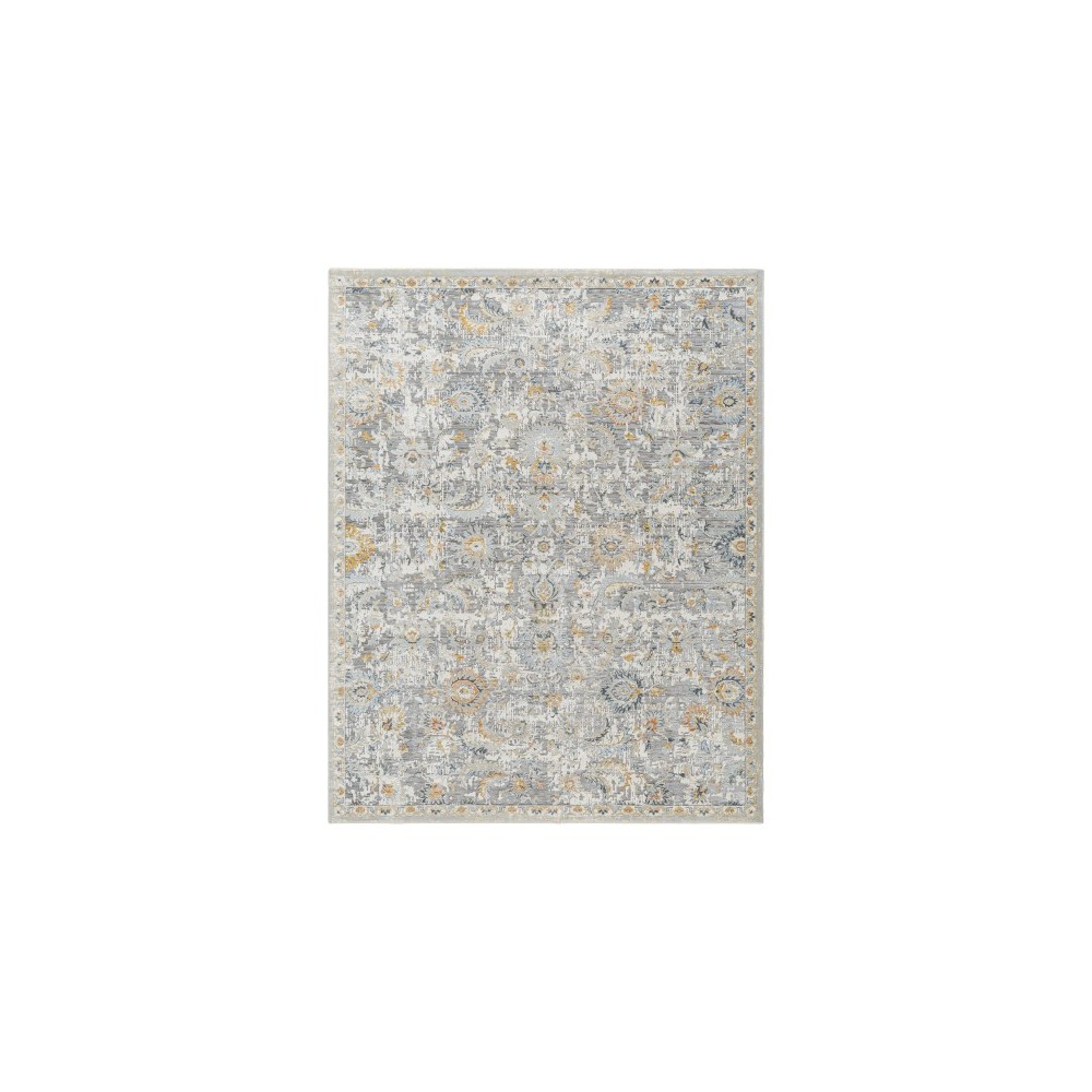 Surya Hassler Hsl-2303 Rug 2' X 3'