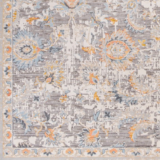 Surya Hassler Hsl-2303 Rug 2'7" X 7'3"