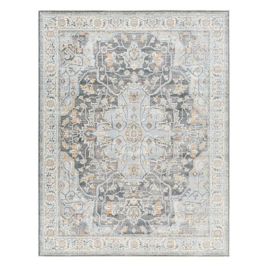 Surya Hassler Hsl-2305 Rug 10' X 14'