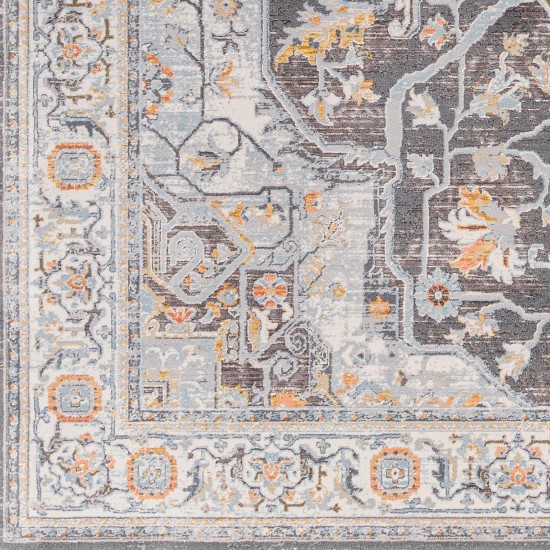 Surya Hassler Hsl-2305 Rug 10' X 14'