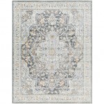 Surya Hassler Hsl-2305 Rug 2'7" X 4'