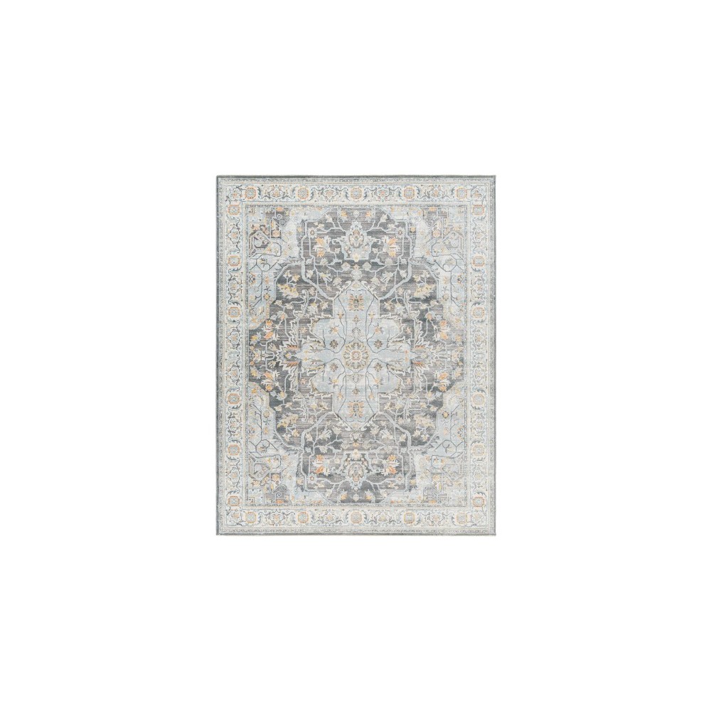 Surya Hassler Hsl-2305 Rug 2'7" X 7'3"