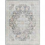 Surya Hassler Hsl-2305 Rug 5'3" Round