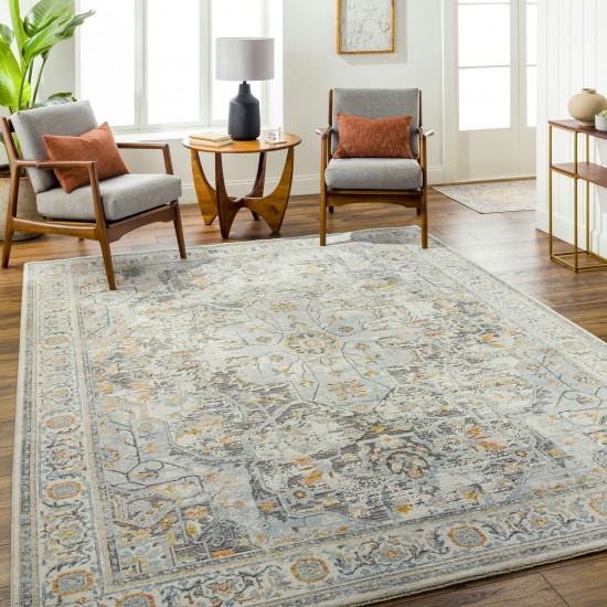 Surya Hassler Hsl-2306 Rug 10' X 14'