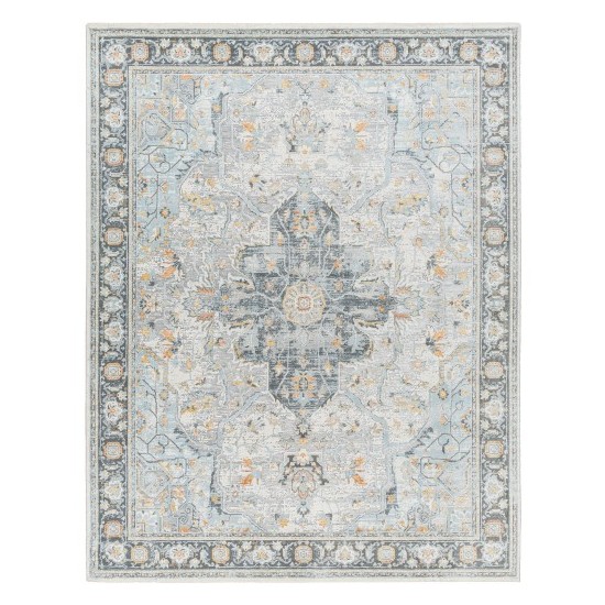 Surya Hassler Hsl-2307 Rug 10' X 14'