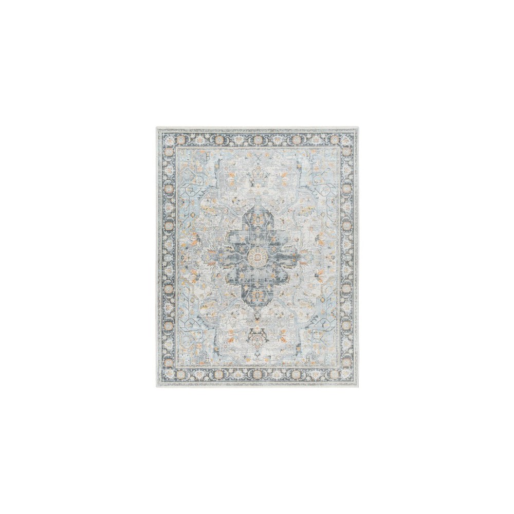 Surya Hassler Hsl-2307 Rug 10' X 14'