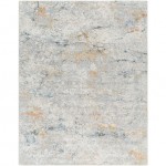 Surya Hassler Hsl-2308 Rug 10' X 14'